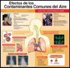 Efectos de los contaminantes comunes del aire--cartel médico thumbnail