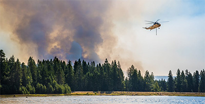 Wildfire in forest